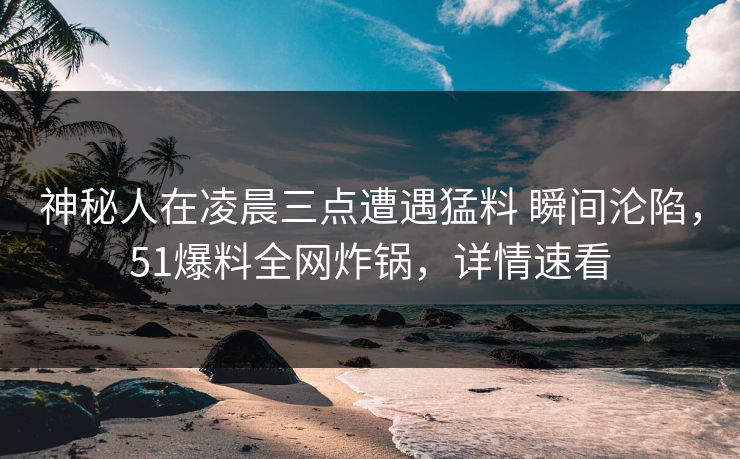 神秘人在凌晨三点遭遇猛料 瞬间沦陷，51爆料全网炸锅，详情速看